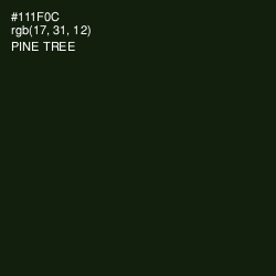 #111F0C - Pine Tree Color Image